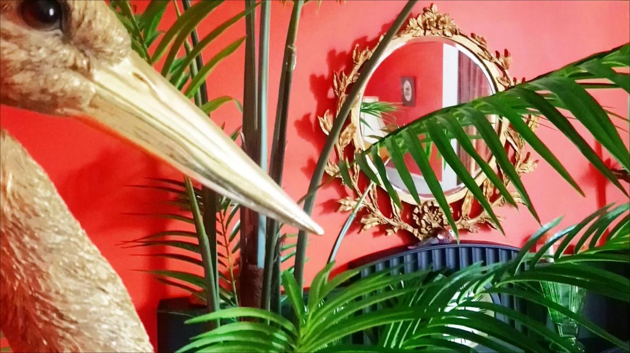 Little Robin B&B Дъфтаун Екстериор снимка